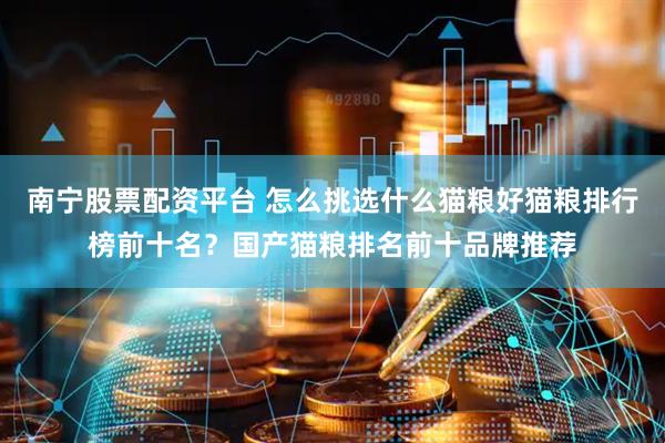 南宁股票配资平台 怎么挑选什么猫粮好猫粮排行榜前十名？国产猫粮排名前十品牌推荐
