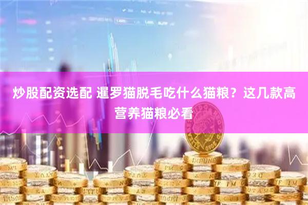 炒股配资选配 暹罗猫脱毛吃什么猫粮？这几款高营养猫粮必看